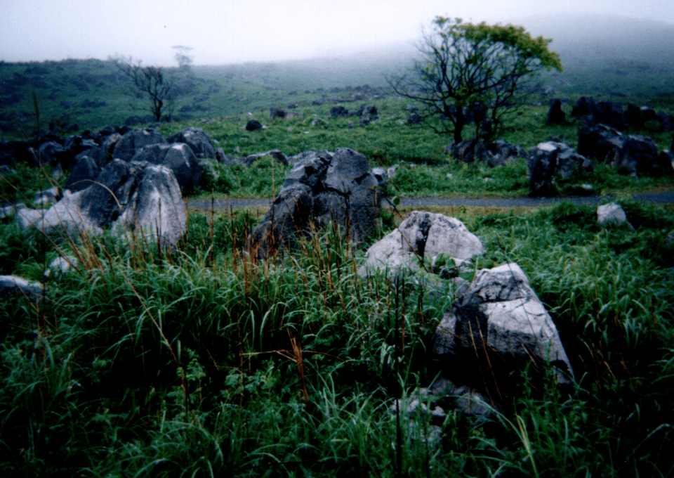 Limestone rocks poke up through wild grass on a broad plateau