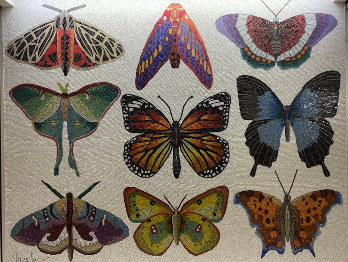 three rows of butterflies in a mosaic decorating a wall 