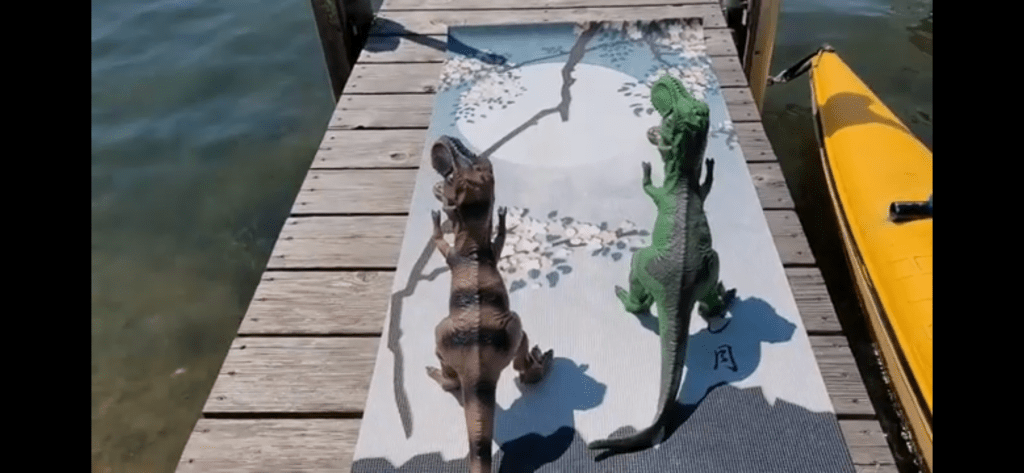 Two dinosaurs stand in mountain pose on a yoga mat featuring a moon and cherry blossoms. 